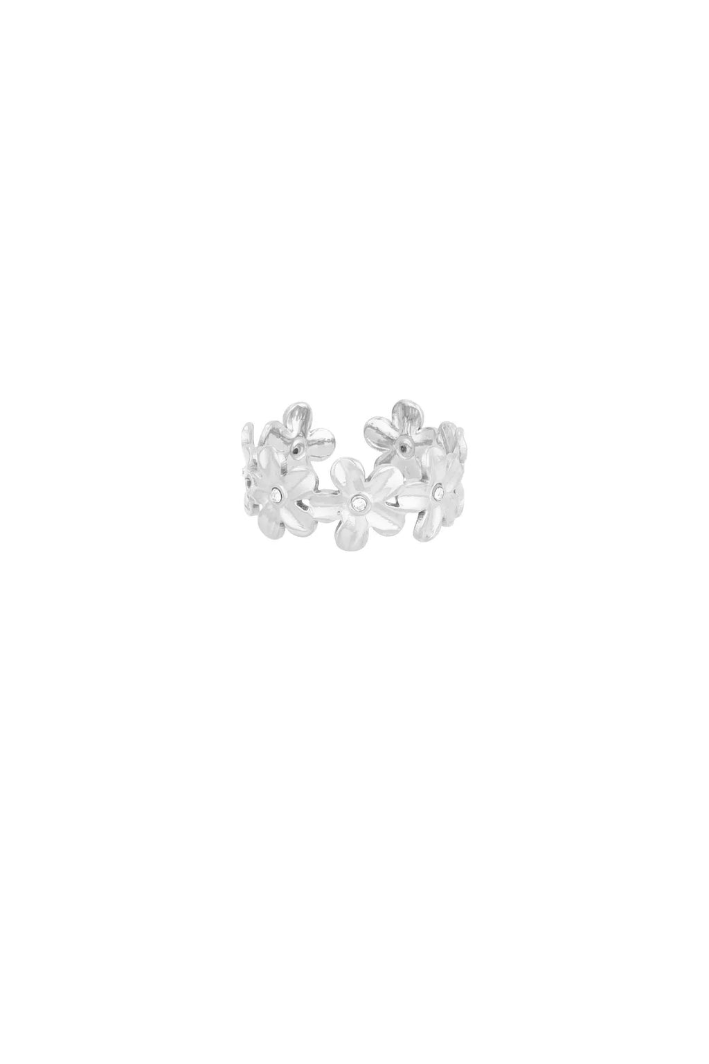 Prairie Ring